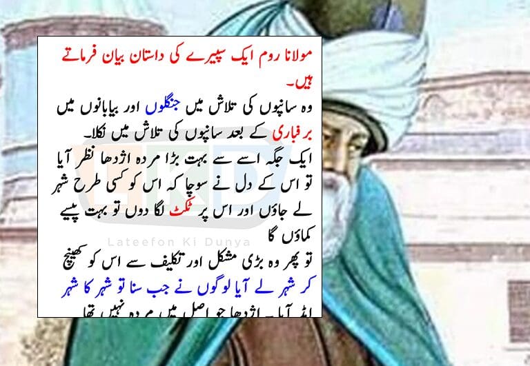 Maulana Rumi embarks on mystical dragon quest.