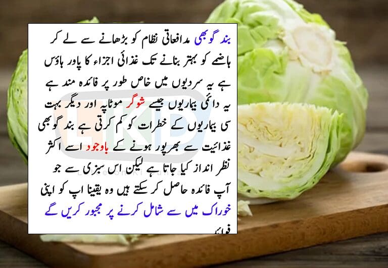 Let's talk about how awesome cabbage is for your health!