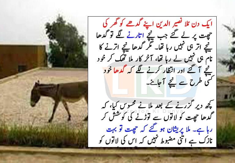 The Tale of Mulla Nasir and the Persistent Donkey